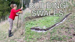 Ensuring water for my New Olive Tree Grove | Swales on Contour | Permaculture Farm