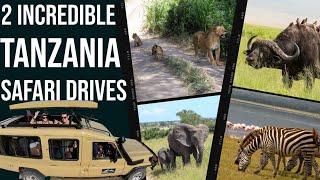 SAFARI Of A Lifetime In TANZANIA | Nogorongo Crater & Tarangire National Park Game Drives!