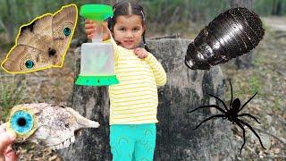 Bug Hunt Outdoor Adventure With Zoe Wood Cockroach Moth Big Australian Huntsman Spider