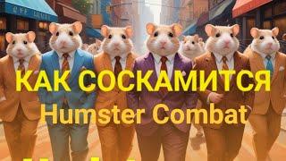 ХАМСТЕР КОМБАТ СКАМ, ХОМЯК СОСКАМИЛСЯ, ЧТО ДЕЛАТЬ С HUMSTER COMBAT ДАЛЬШЕ, КАК ВЫВЕСТИ ТОКЕНЫ