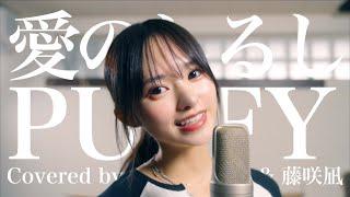 愛のしるし / PUFFY (Covered by コバソロ & 藤咲凪)