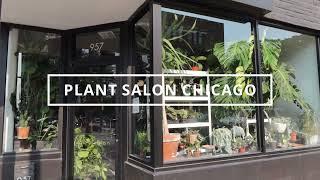 PLANT SALON CHICAGO PLANT SHOP TOUR