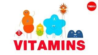 How do vitamins work? - Ginnie Trinh Nguyen