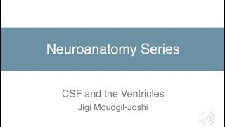 CSF and the Ventricular System