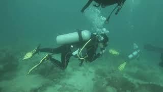 Diving in Sabang, Puerto Galera