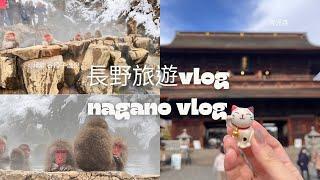 【日本旅遊Vlog】2024/12 長野地獄谷猴子溫泉/日本人一生必去一次的善光寺/全國有名的栗子特產地區小布施