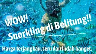 Snorkeling di Belitung KEREN BANGET!!