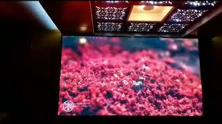 Led indoor display p3 12 feet wight and 7 feet hight with Huiduidu VP210 Processor