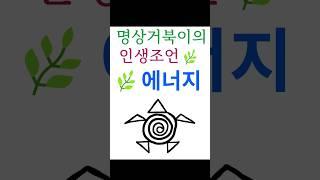 에너지 | 인생조언 | 수행 | 깨달음 | 마음공부 #명상거북이 #shorts