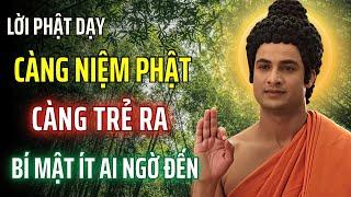 Niệm Phật Giúp An Lạc, Trường Thọ và Trẻ Ra Mỗi Ngày Tại Vì Sao? - Lời Phật Dạy