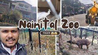 Nainital Zoo Tiger ko dara diya  / नैनीताल का चिड़ियाघर / Nainital Zoo All animals Vlog 2025