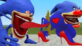 NEW SHIN SONIC TAPES LOVE STORY VS WOMAN SONIC TAPES SAD STORY In Garry's Mod!