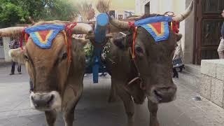 DORGALI LA FESTA S  ISIDORO 2024