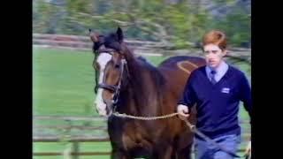 Vincent O'Brien on Sadler's Wells