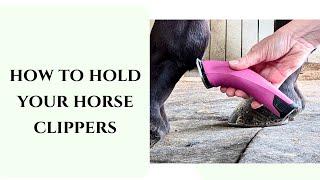 How to Hold Your Horse Clippers