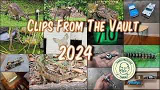 2024 Wrap - Clips From The Vault