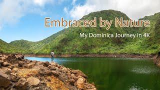 Embraced by Nature - My Dominica Journey in 4K