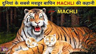 बेटी के लिए छोड़ा Ranthambore का राज | World's Most Famous Tigeress Machli left Throne for Daughter