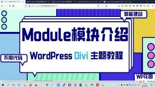 【WordPress的Divi主题视频教程】：编辑器模块Module的概览和介绍