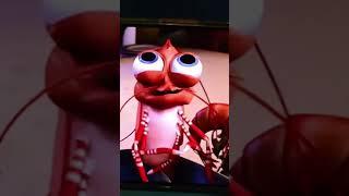 Mr. Shrimp’s Yapping Sounds Just Like ExtraEmily?!  #twitch #shorts #clips