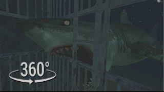 360° VR | Shark Cage Escape in 360 Video | Will You Survive From Shark Attack