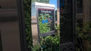 BT network# #humour  #Telephone #travel