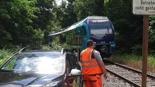 Sonderfahrt(16.06.2024) von Hamburger HBF nach Geesthacht und zurück.