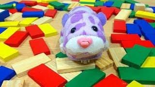 Zhu Zhus in "Domino Disaster" - Zhu Zhu Pets knock Down our Dominoes