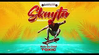 Mole De Chief - Toxic (Skayta Riddim) Crop Over 2024