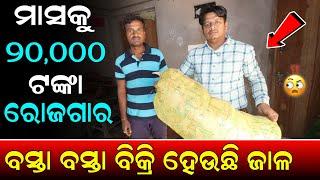 ବସ୍ତା ବସ୍ତା ବିକ୍ରି ହେଉଛି ଜାଳ ! ମାସକୁ 20,000 ରୋଜଗାର ! Busibess idea odisha ! Smile odisha busibess