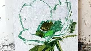White anemone flower
