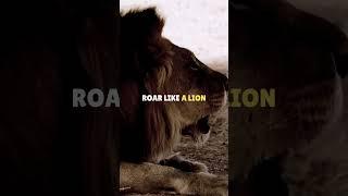 Roar! Motivational Quotes #shorts #motivation #mindset