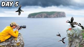 I Visited Norway’s Puffin Island