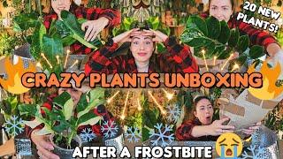 Im shook! MASSIVE UNBOXING! 20 rare houseplants of my dreams!