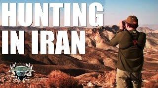 Headhunter Chronicles - Hunting sheep in Iran