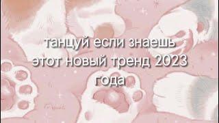 ~танцуй если знаешь этот новый тренд 2023 года~/котик раш