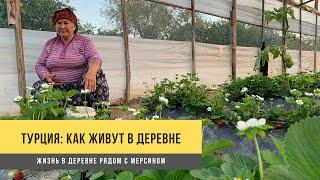 Турция -  как живут в деревне. Деревенская жизнь под Мерсином