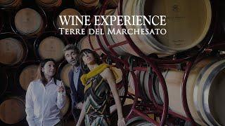 Terre del Marchesato: WINE EXPERIENCE (Visite e degustazioni)