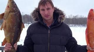 Семен Жоров дома в Деревне ))