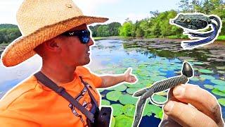 Frogging and Punching On Lake Guntersville! Bass Fishing In The Summer!