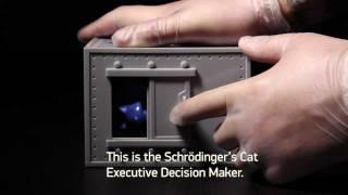 Schrödinger's Cat Executive Decision Maker from ThinkGeek