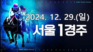 (서울) 2024.12.29 1경주