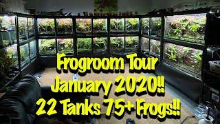 Frogroom Tour January 2020!! 6 New Bioactive Setups!!