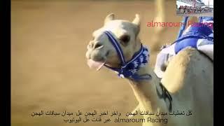 اعلان  لي  قنات almaroum Racing