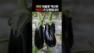 가지 “이렇게” 먹으면 암세포가 도망칩니다 #건강