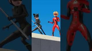 He tried his best  #miraculousladybug #ladynoir #misterbug  #miraculous #ladybug #catnoir #mlb
