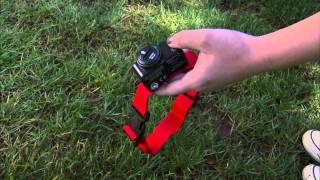 How to Install a PetSafe® Wireless Dog Fence