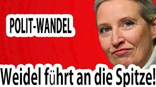 Politischer Wandel in Deutschland  AfD bricht alle Rekorde  Weidel führt die AfD an die Spitze