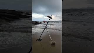 바다 해변 모랫속에 금빛의 이것이.. #gold #금속탐지 #metaldetecting