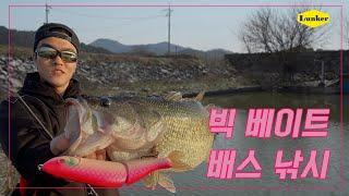 [Lunker TV] 메가배스 양성훈스텝 스페셜칼라로 런커낚다!  (배스낚시,빅베이트낚시)